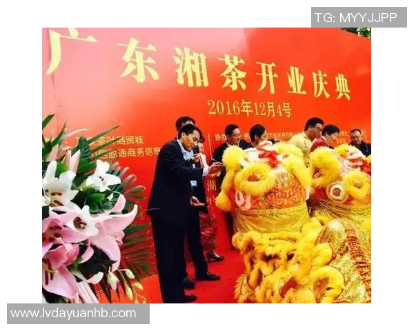 武汉篮球队运营革新探索：从管理模式到市场营销的全方位升级之路