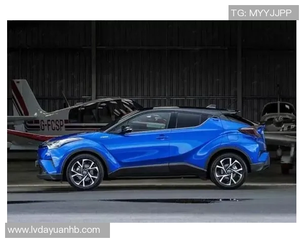 深圳足球队在洲际杯中的灵活性表现分析与点评