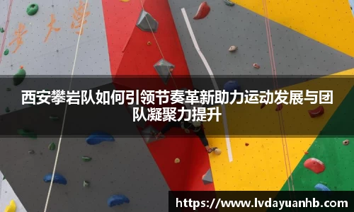 NG28南宫