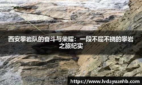 南宫NG28